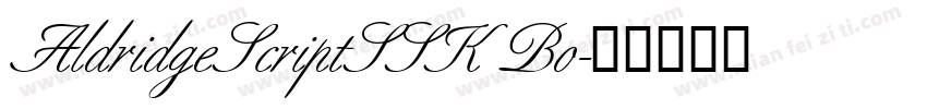 AldridgeScriptSSK Bo字体转换